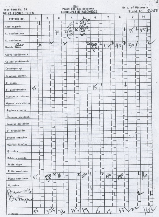 sheet of white paper showing grid filled with numbers and tree species names.